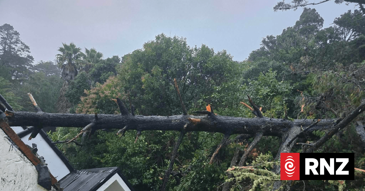 Weather live: Landslips in Auckland, Coromandel, homes evacuated amid heavy rain warnings
