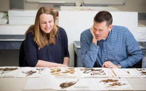 Exhibition curators, Emma Brooks (Curator Human History) and Cor Vink (Curator Natural History) with some of the 250-year-old plant specimens.