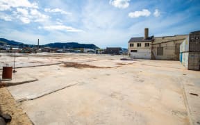 New Dunedin Hospital site