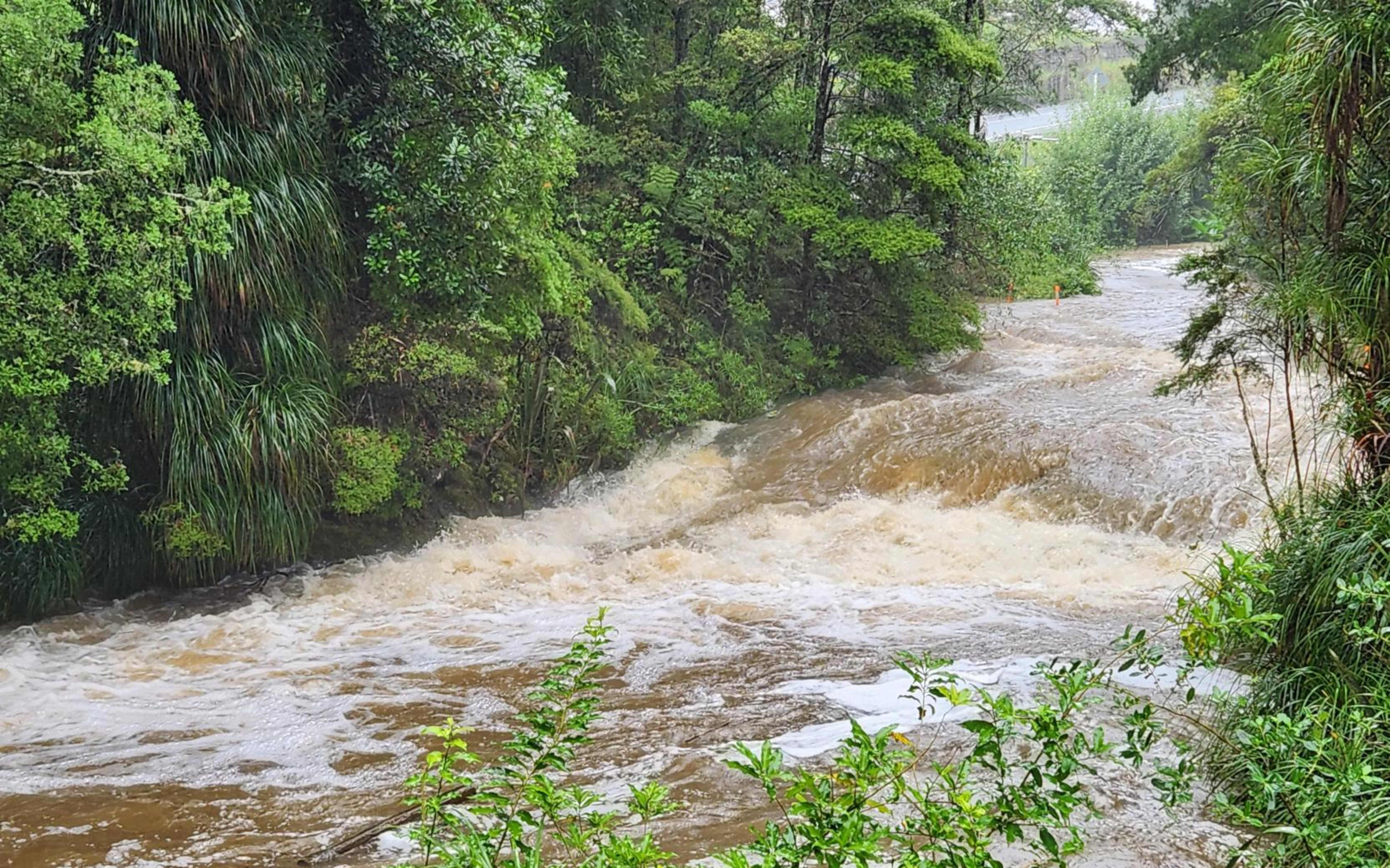 Mahurangi River on 21 January, 2026.
