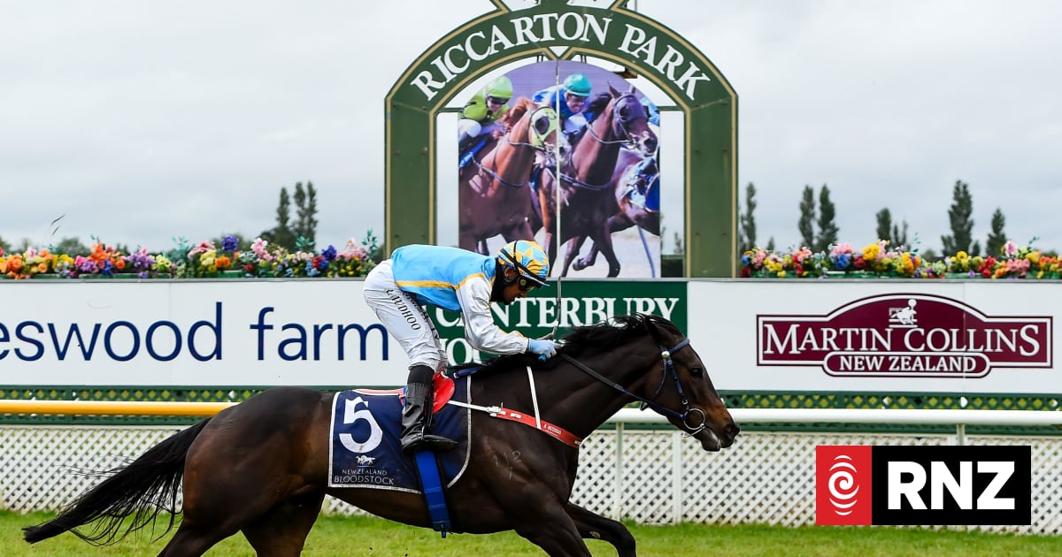 Three synthetic tracks to be used in next Thoroughbred season | RNZ