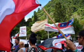 Protesters wave flags and a sign reading 'wahi tapu' on Maori land at Lake Rotokakahi. Photo / Laura Smith