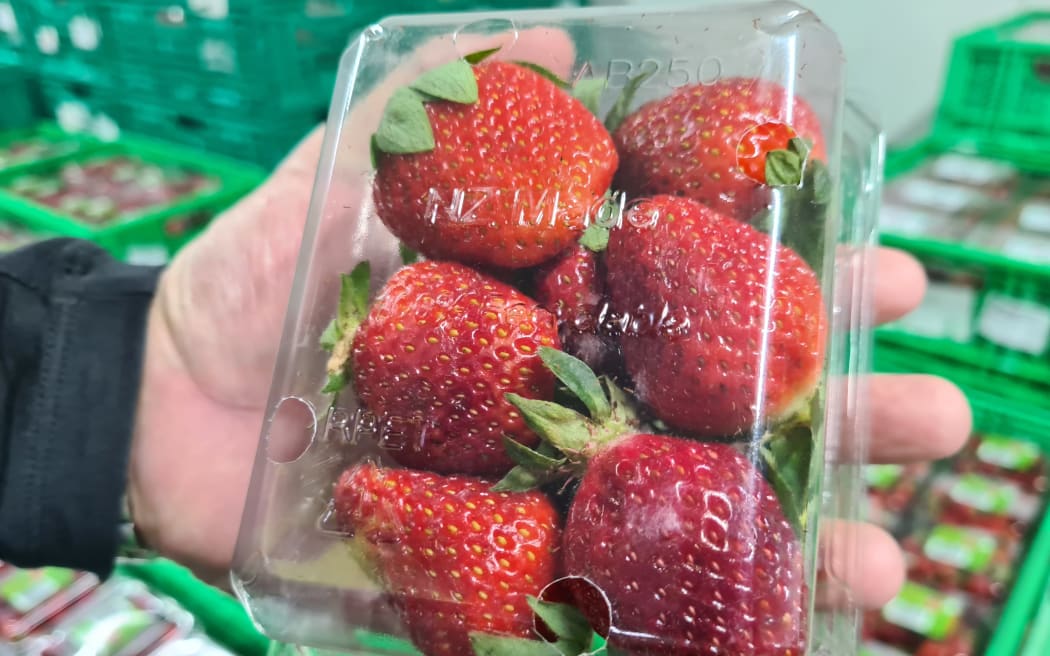 A punnet of New Zealand grown strawberries.