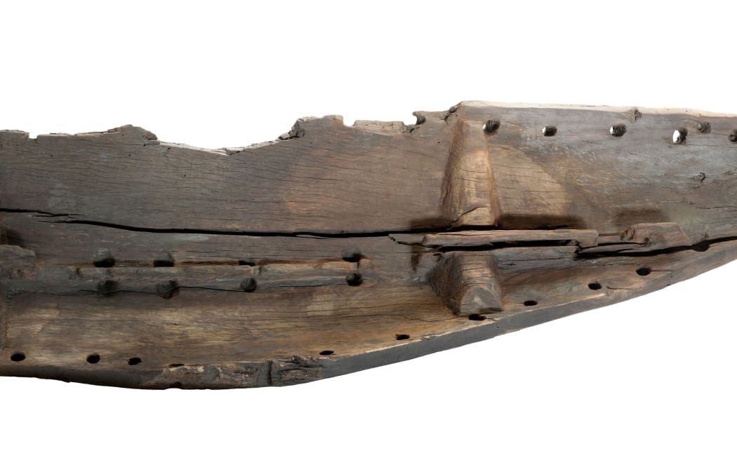 A matai plank that formed part of the oldest waka yet found in New Zealand, from Anaweka.