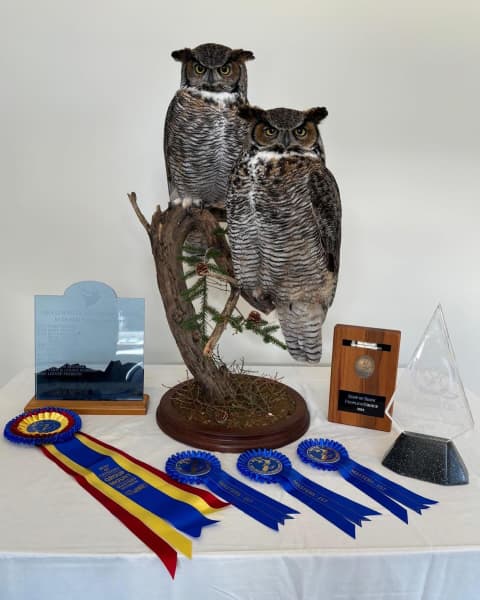 Voss' great horned owls won Most Artistic and Best of Show ( Peoples Choice) in the Masters division.