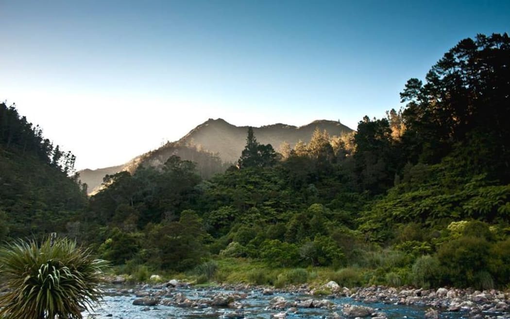 Karangahake Mountain