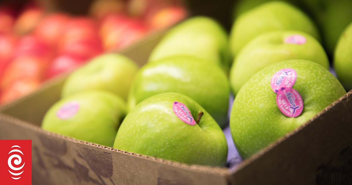 Major New Zealand apple grower shuts off shipments to US as tariffs bite into profits