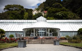 Begonia House in Wellington's botanical gardens