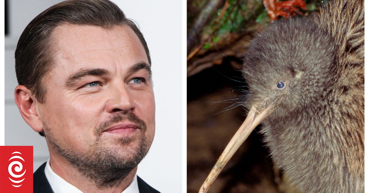 Love from Leonardo DiCaprio- Celebrity fans lead to big jump in donations to NZ conservation projects - Vimarsana News
