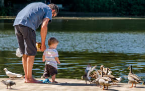 Family feeding the local ducks in Hamilton Gardens, New Zealand.