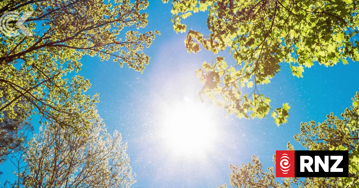 Weather: Auckland humidity 'feels so gross' | RNZ