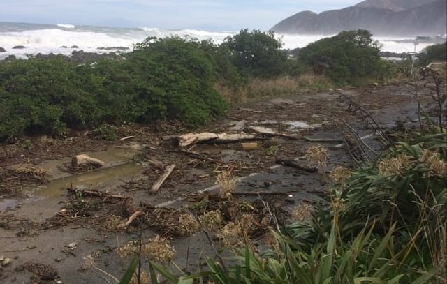 Waves damaged property on Wellington's south coast