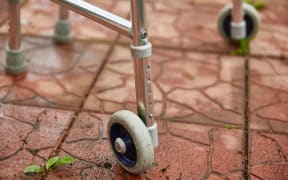 Wheel walker for adults. Close-up