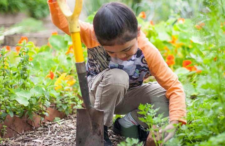 An Owaiaraka School student participating in the Garden to Table programme - one of the charities supported by the One Percent Collective.