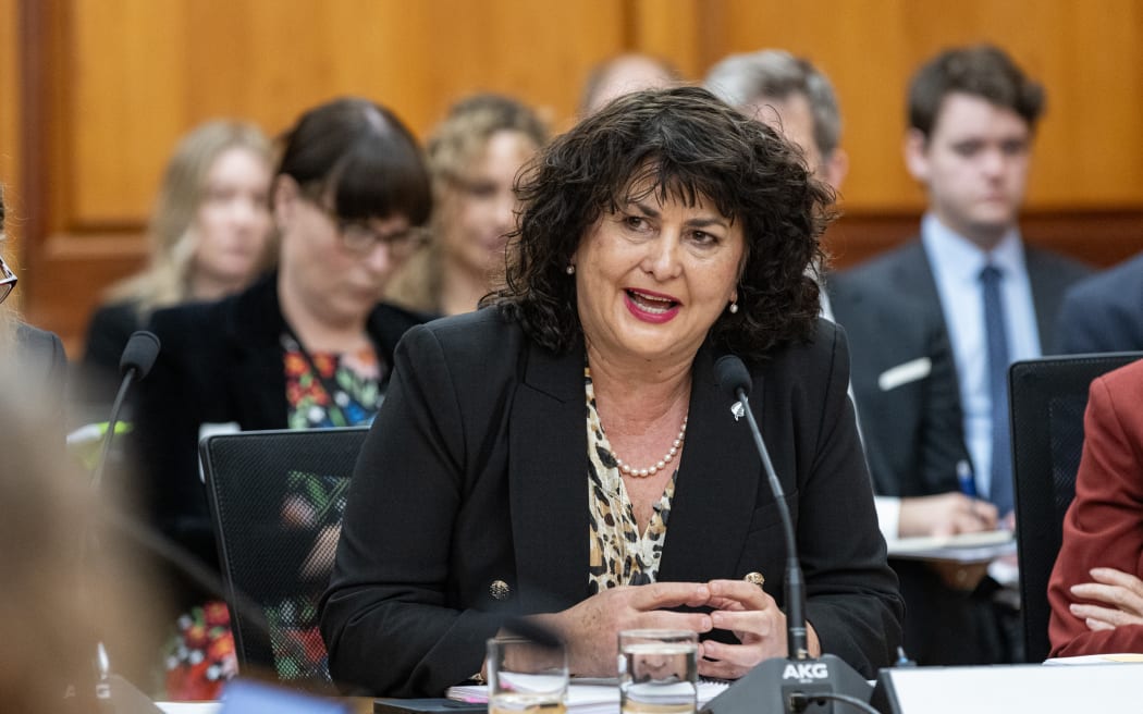 NZ First MP and government minister, Casey Costello defends her budget plans for the immigration portfolio in front of the Social Services and Community Committee.