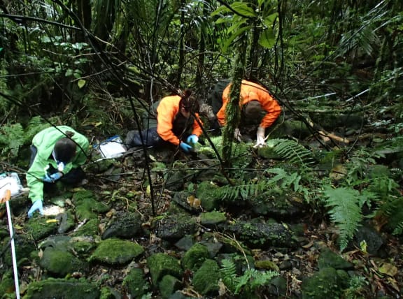 Three people on their hands and knees in a wet forest