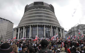 The national hīkoi converges at Parliament Grounds on 19 November 2024.