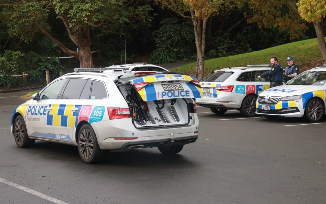 Emergency services at the scene of an incident in Blockhouse Bay, Auckland.
