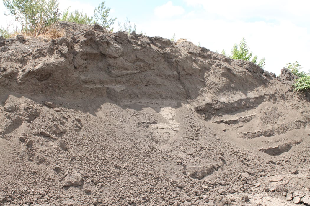 Pile of vermicast