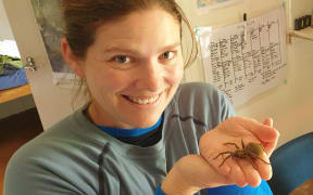 Chrissie is smiling and holding a large brown spider in her outstretched palms