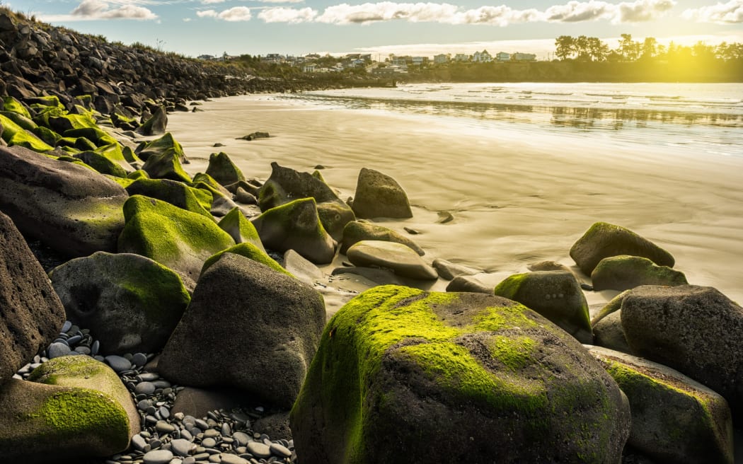 The shore at Caroline Bay, Timaru