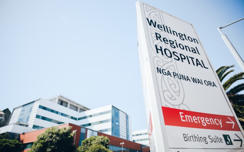 Te Whatu Ora paid big tech firms to test failing Wellington hospital IT ...