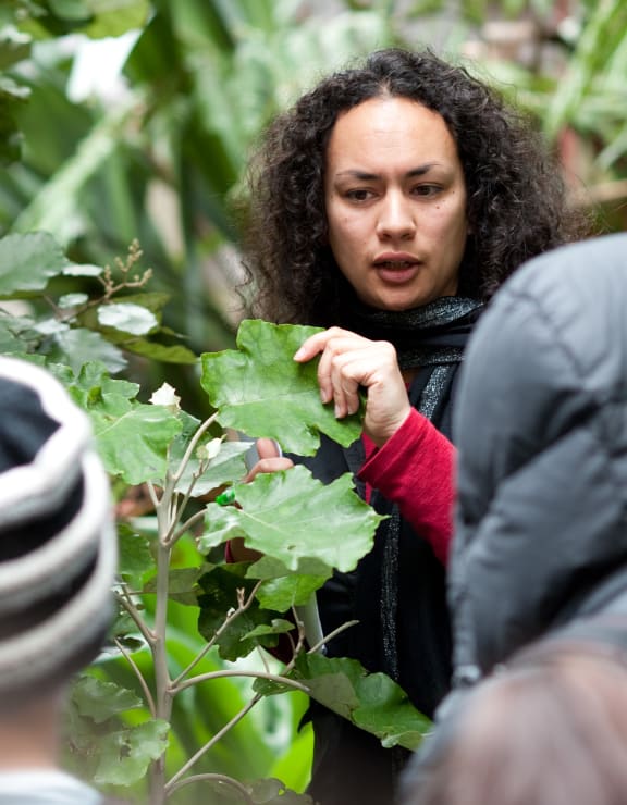 Dr Ocean Mercier working with students in the field.