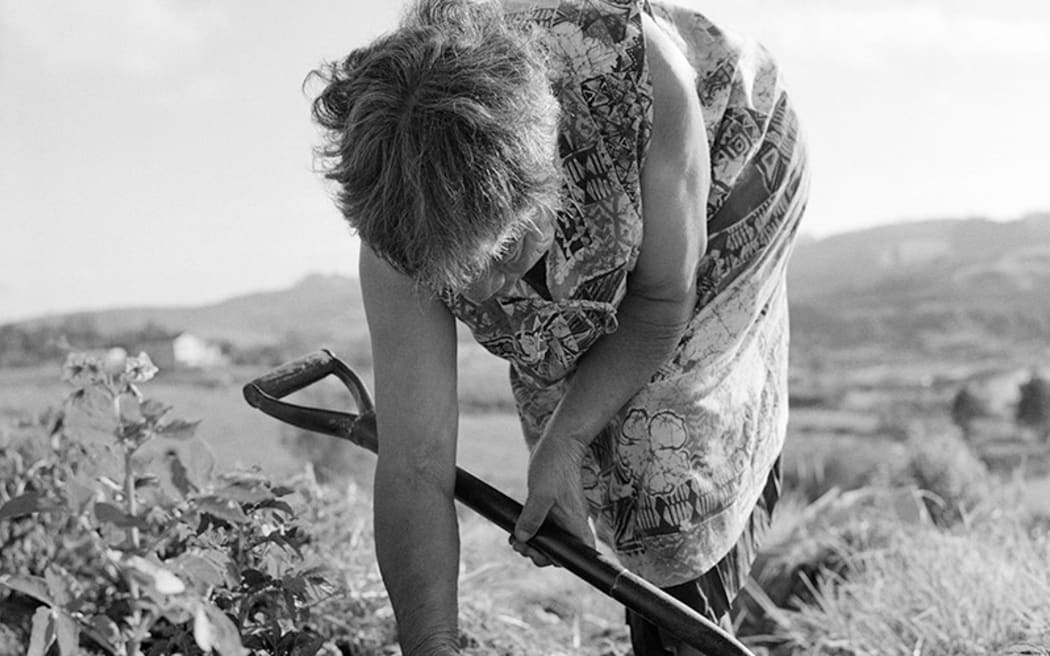 Ans Westra, Hikurangi, 1982.