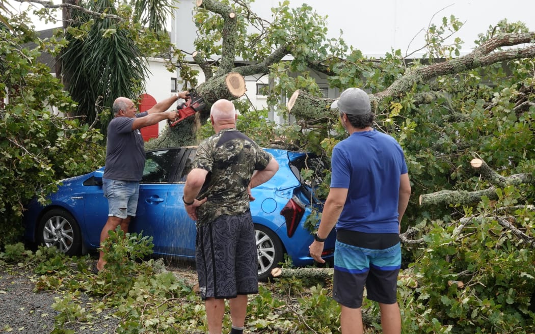 Three men, one using a chainsaw to cut down a fallen tree on Moir Street.