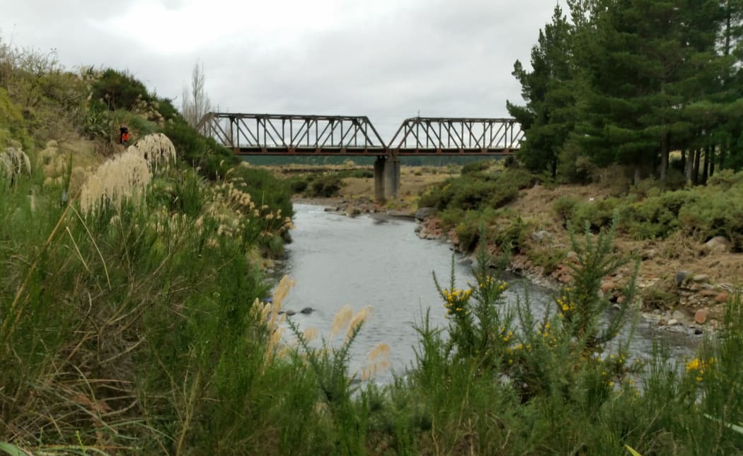 The current rail bridge at Tangiwai with a deceptively calm Whangaehu stream running under it.