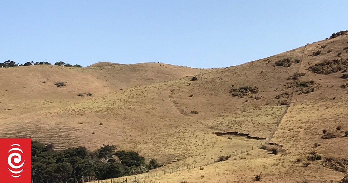 Farmers in top of South Island still facing extremely dry conditions | RNZ