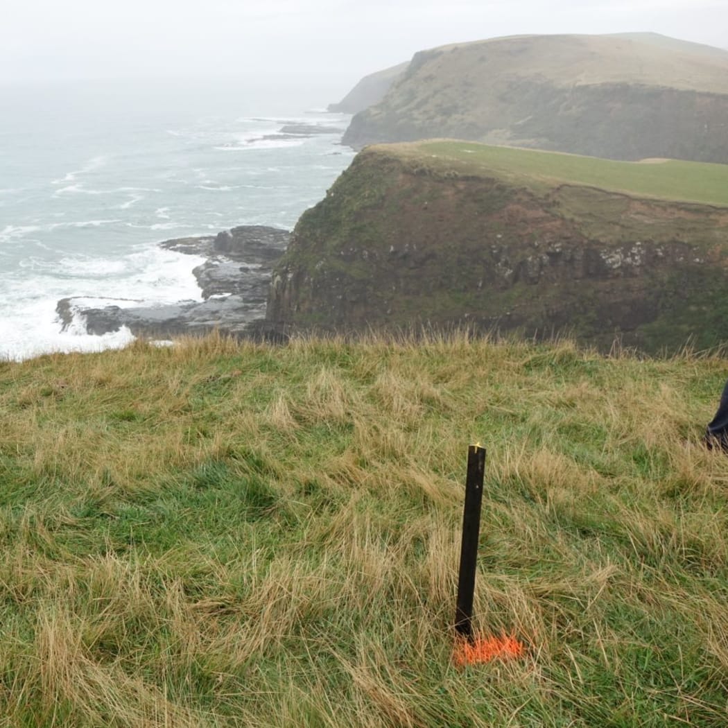 The cove near Curio Bay at the centre of the search for Michael Zhao-Beckenridge, 11, and his stepfather John Beckenridge.