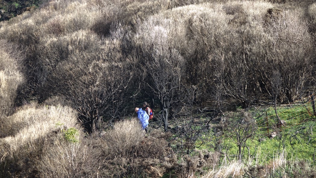 Ana Teixeira and David Norton in the fire damaged Ohinetai Bush Reserve.