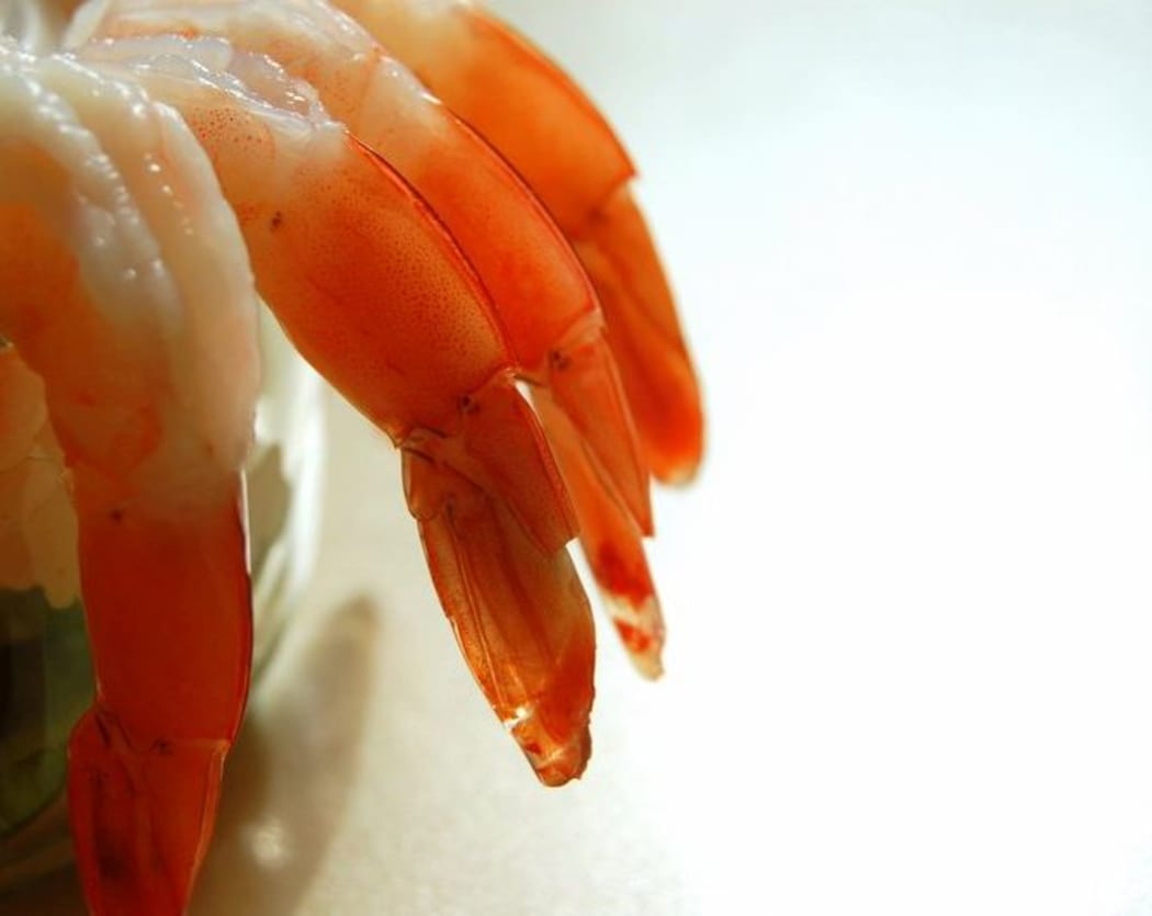 shrimp