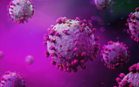 View of a Coronavirus Covid-19 background - 3d rendering
