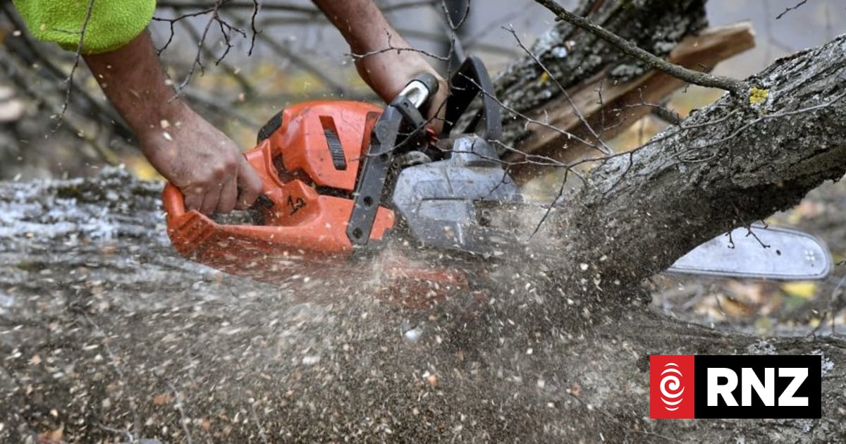 Don't underestimate machinery, coroner says, after arborist caught on stump grinder