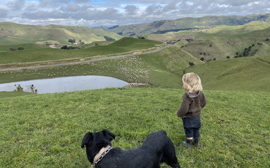 Tad Whittle on Makatote. He is the fifth generation on the family farm.