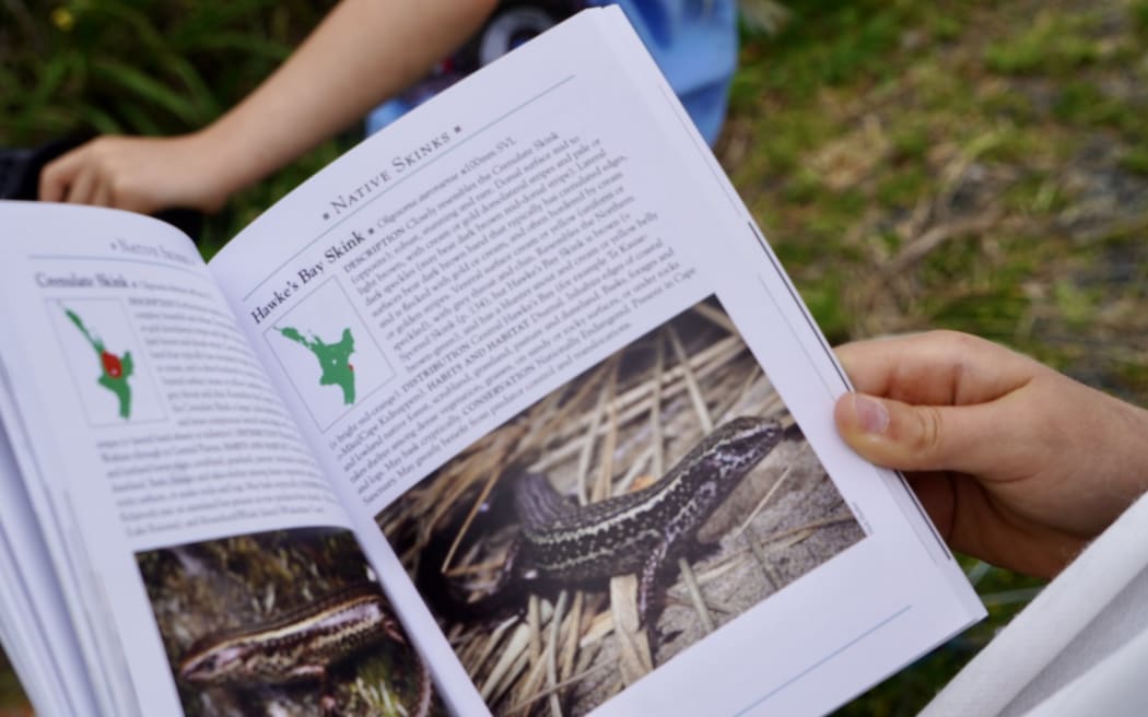 Caelyn Hossack, 9, has found a rare colony of Hawke's Bay skinks in Waipawa.