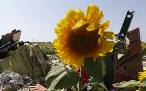 Wreckage and debris at one of the crash sites of Malaysia Airlines Flight MH17.