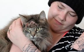 A survivor of two air-gun shots to the head, Toast, recovers at home  with the owner's daughter, Nicole Serong.