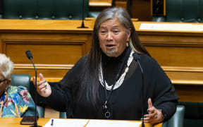 Te Pāti Māori MP, Mariameno Kapa-Kingi speaking in the House.