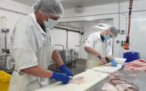 Darren Rogers and Joshua Davies hard at work at Egmont Seafoods.