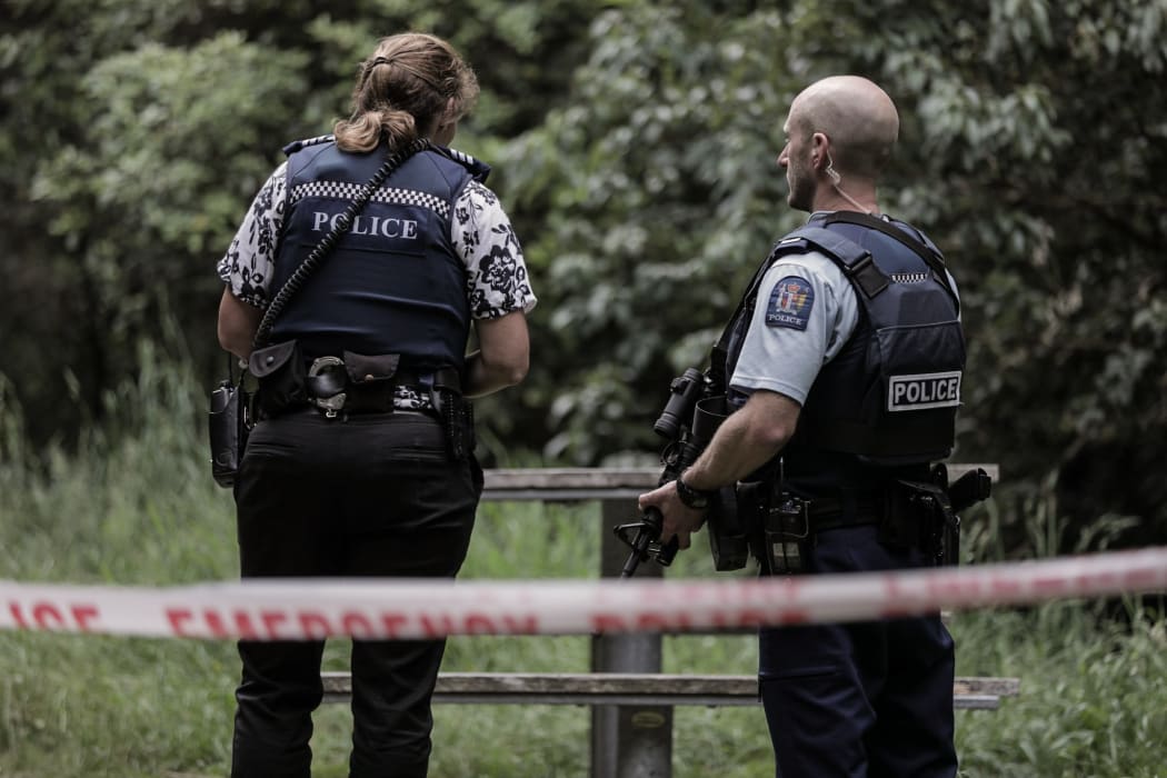 Armed police in Brooklyn, Wellington, after an assault