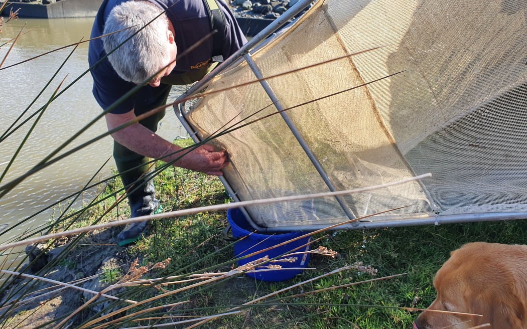 Emptying the net