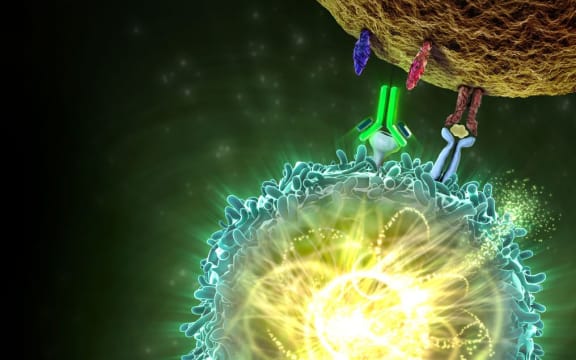 A bright  yellow and aqua sphere, representing the immune system, sits alongside a brown cancer sphere with little goemetric shapes between indicating the drug's action