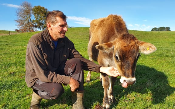 Chris Falconer with Poppy, the jersey calf.