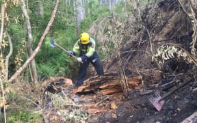 Firefighters battle a scrub fire in Northland.