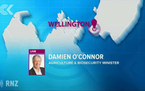 Damien O'Connor -  Why eradication was the right decision: RNZ Checkpoint