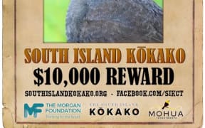 South Island Kokako wanted poster.
