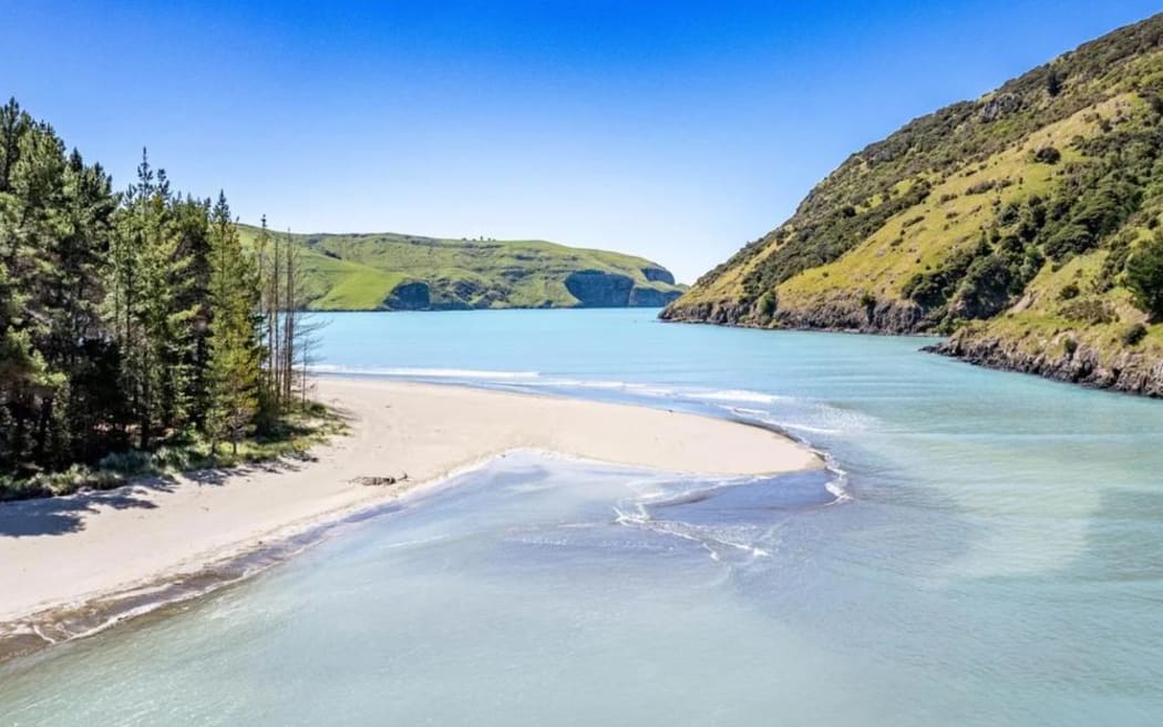 The Le Bons Bay Conservation Trust has a vision is to purchase the 39 hectare Old Wharf Road property in Le Bons Bay.